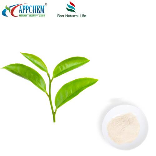 Estratto di tè verde L-Teanina