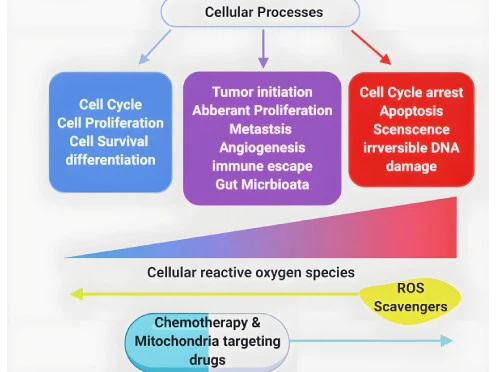 ROS-496-372 ROS-496-372