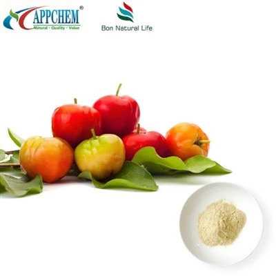 Polvere di estratto di ciliegia acerola