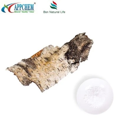 Polvere di betulina naturale