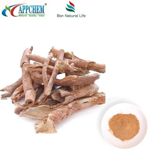 Estratto di Acanthopanax Senticosus