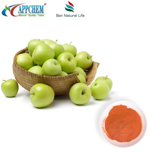 Polvere di polifenoli della mela dell'ingrediente AGA Hair Health