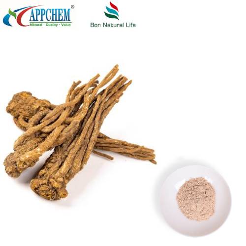 Polvere di estratto di Angelica Sinensis