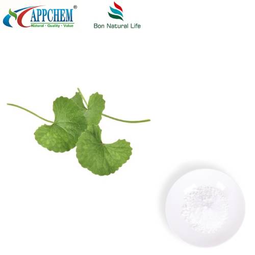 Polvere di estratto di Centella Asiatica