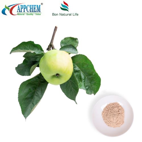 Ingredienti cosmetici Floretina 60-82-2