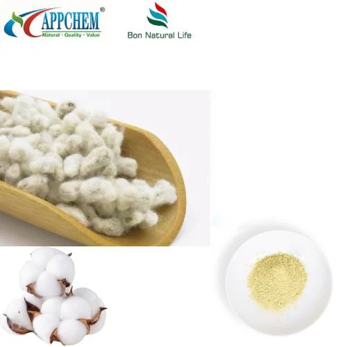 Polvere di estratto di semi di cotone