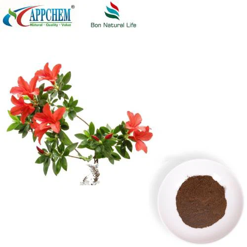 Estratto di foglie di rodoendro dahuriano