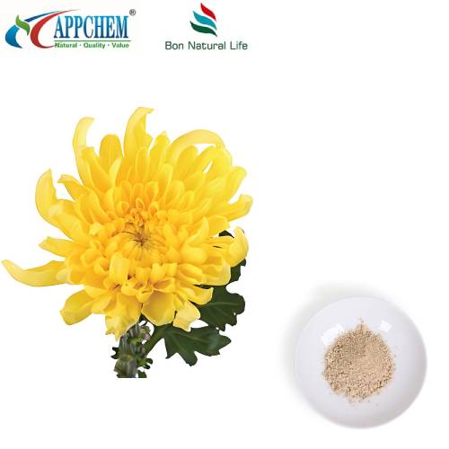 Flos Chrysanthemi estratto in polvere