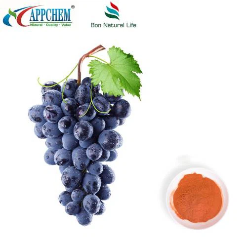 Estratto di semi d'uva in polvere 95 polifenoli