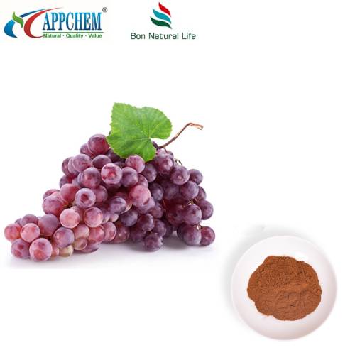 Polvere di estratto di buccia d'uva