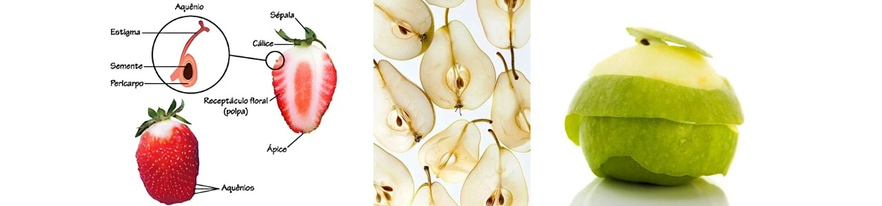 info-1280-300