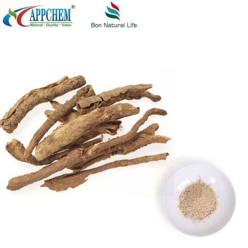 Polvere di estratto di ginseng siberiano