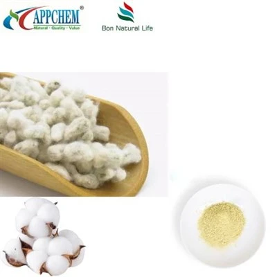 Polvere di estratto di semi di cotone