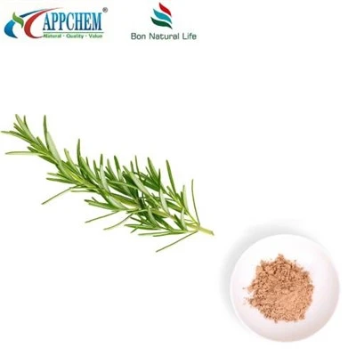 Polvere di rosmarino essiccato