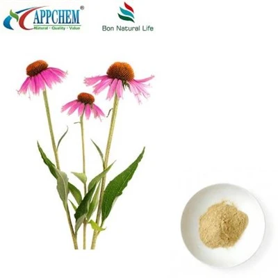 Estratto in polvere di Echinacea Purpurea