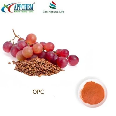 Estratto di semi d'uva 95 OPC