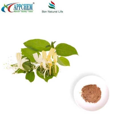 Estratto di fiori di caprifoglio in polvere