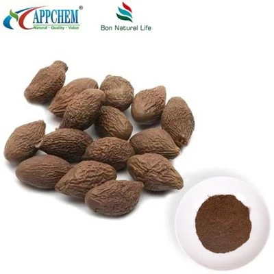 Estratto naturale di lychnophorae di sterculiae del seme