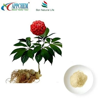 Estratto di radice di Notoginseng
