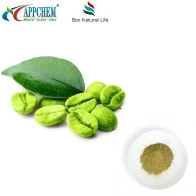 Polvere pura di chicchi di caffè verde