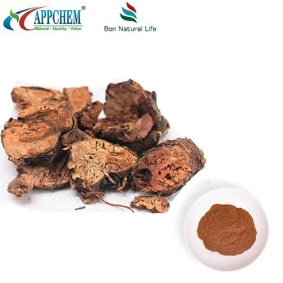 Polvere di estratto di Rhodiola Rosea