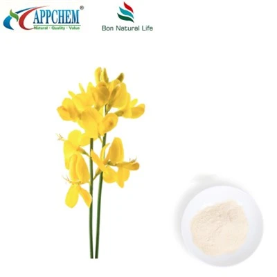 THERMOSIS LANCEolata R.BR Extract; Cytisina HPLC98% polvere 485-35-8